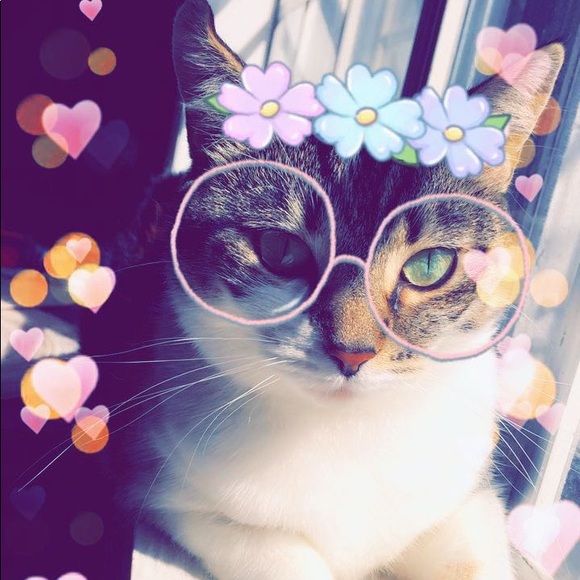 bellaboo43097